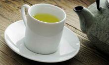  Bulk   Moringa  Oleifera Green Tea