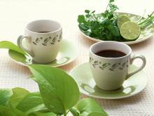Best Grade Moringa Herbal Health Tea