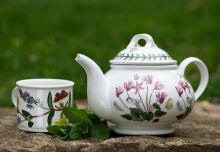 Bulk Malunggay Herbal Mint Infusion