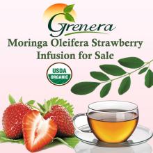 Moringa Oleifera Stawberry Infusion for Sale
