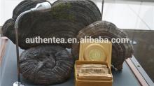 SGS ISO Hight Quality Organic Ganoderma Tea