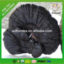  Private   Label  Drink of Ganoderma Lucidum
