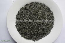 health benefits chunmee green tea 41022AAA