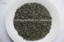 chinese chunmee tea