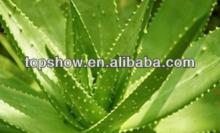 Nature republic aloe vera fairness gel 300ML
