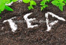 Good Quality Black Tea Different Type of Packing