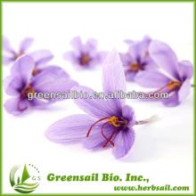 100% Natural Saffron Extract 4:1,10:1,20:1,50:1,100:1, 0.3%