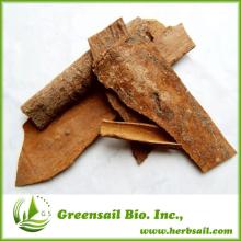 Cinnamon Oil Supplier /Wholesale