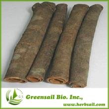 Cinnamon Natural Pure Essential Oil