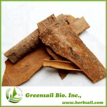 2013  Steam  distilled cinnamon oil