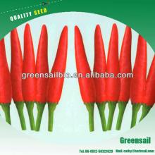 Hybrid Pepper seeds for planting