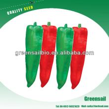 High Quality Pepper seeds