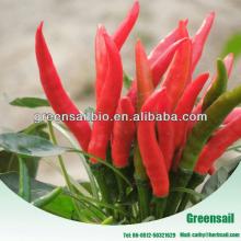 High Yield Red Pepper seeds