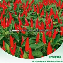 2013 Red Pepper seeds with high yield