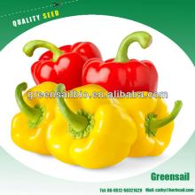 2013 Yellowish,Red Pepper seeds For Sale