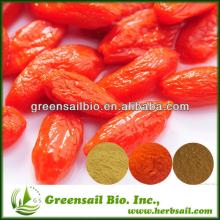 Top Quality Goji berry extract powder