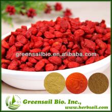 Dried Goji berry powder with Top quality