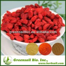 Manufacture Supplier Dried Goji berry powder