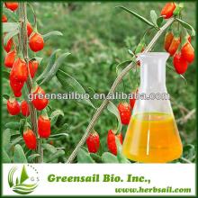 100% High Qaulity wolfberry oil /goji berry oil