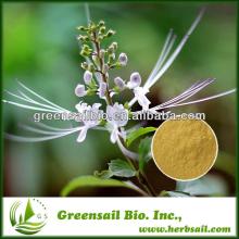 Free Sample Polyphenols 40%,ISO9001 Java Tea Extract