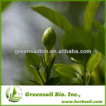 100% Natural Organic White Tea Polyphenols 10%-98%,