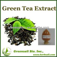  100 %  Organic   Green   tea   extract   tea  polyphenols