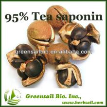 High Quality Camellia extract 95% Tea saponin