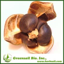 2014  Tea   seed   extract  powder( Tea  Saponin 95%,98% )