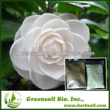 Tea seed extract powder Tea Saponin 95%,98%