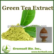 100% pure organic green tea extract,green tea extract powder