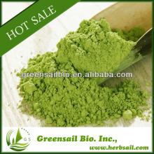 Matcha Green Tea Powder puretea 100% organic