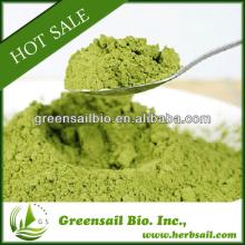 Superfine Matcha Green Tea Powder