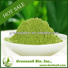 Natural Organic Matcha Green Tea Powder