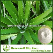 2013 High Quality Aloe Vera Powder