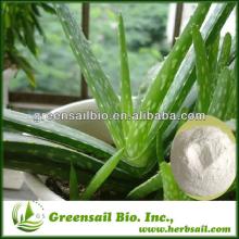 2013 Pure Aloe Vera Extract Powder