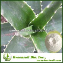 2013 Aloe Vera Gel extract powder