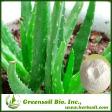 2013 Professional Supplier Organic Aloe Vera Powder