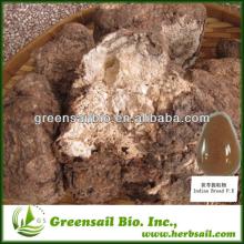 2013 Tuckahoe extract/Indian Bread extract/Poria Cocos extract--Polysaccharide