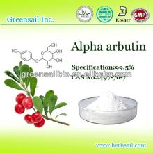 100% pure alpha arbutin powder for whiten skin