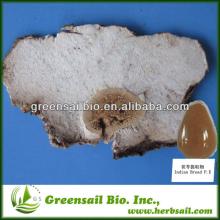 2013 Poria Cocos Extract/Tuckahoe Extract/Indian Buead extract