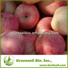 2014 dried apple powder apple juice powder