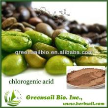  instant  green  coffee   powder 