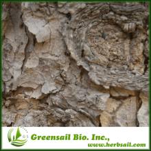 2014  Natural   Pine   Bark  Extract 95% OPC