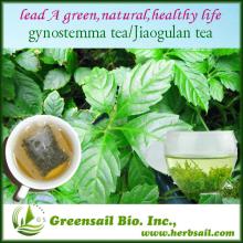 2013 Gynostemma Pentaphyllum Tea Jiaogulan Tea