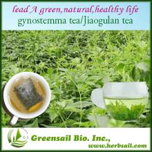2013 Natural health herbal tea/Gynostemma pentaphyllum tea