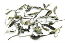 Premium Bai Mu Dan Tea