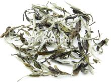 Supreme Fuding White Tea Extract