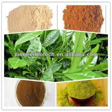  Tea  Polysaccharide 30%from GMP ISO HACCP certified manufacture