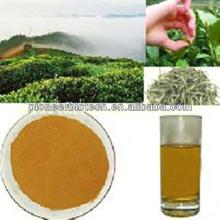 100% natural White Tea Extract in bulk stock