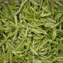 Best Quality White Tea Extract at Factory Price